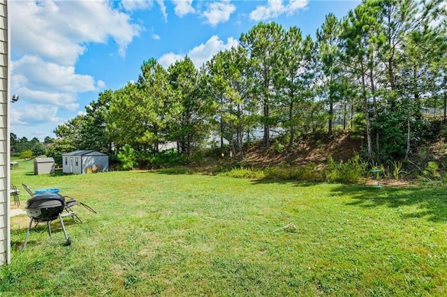 view of yard with a shed