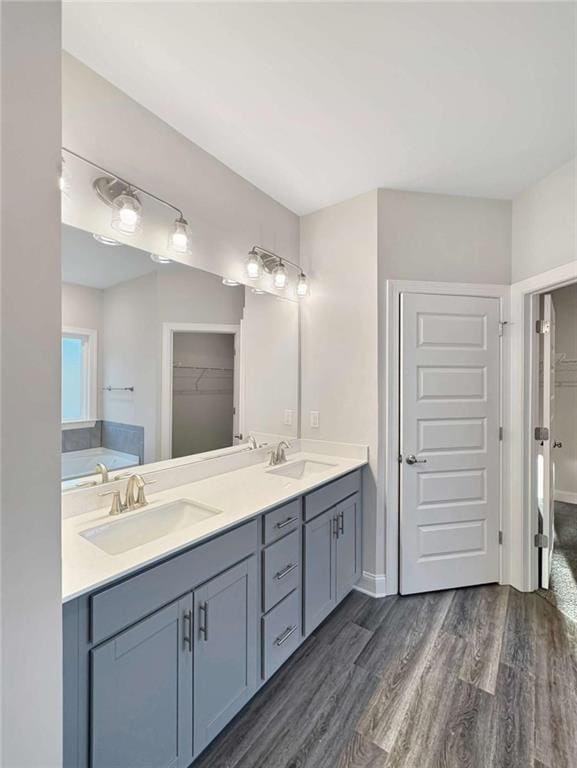 bathroom featuring wood finished floors, a sink, and a walk in closet