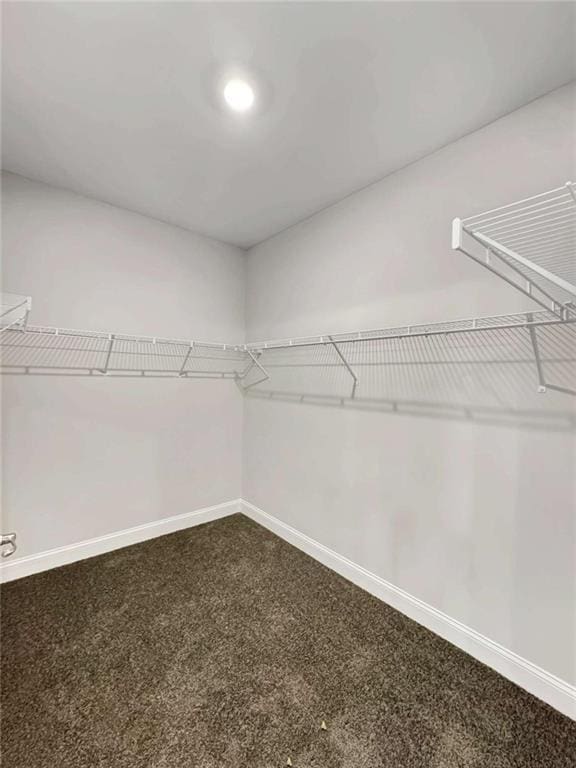 walk in closet featuring carpet floors