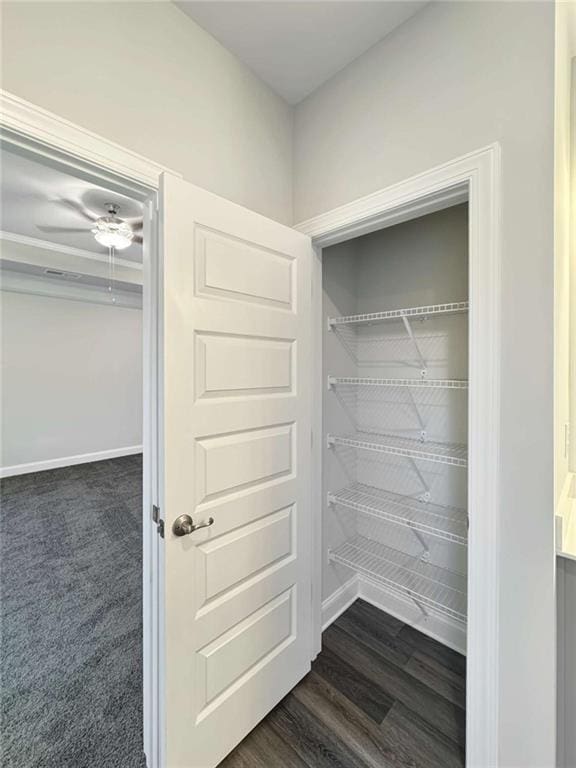 view of closet