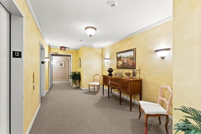 interior space featuring crown molding, a textured ceiling, and carpet flooring