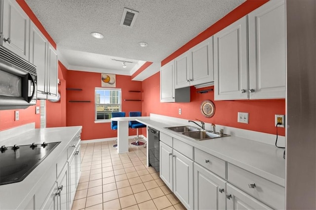 kitchen with white cabinetry, black appliances, and sink