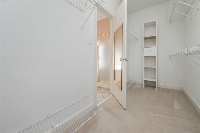 1239 Brentwood Ct, Douglasville, GA 30135 - walk in closet with carpet floors