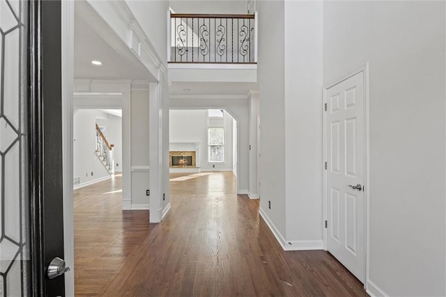 foyer featuring a towering ceiling and dark hardwood / wood-style flooring