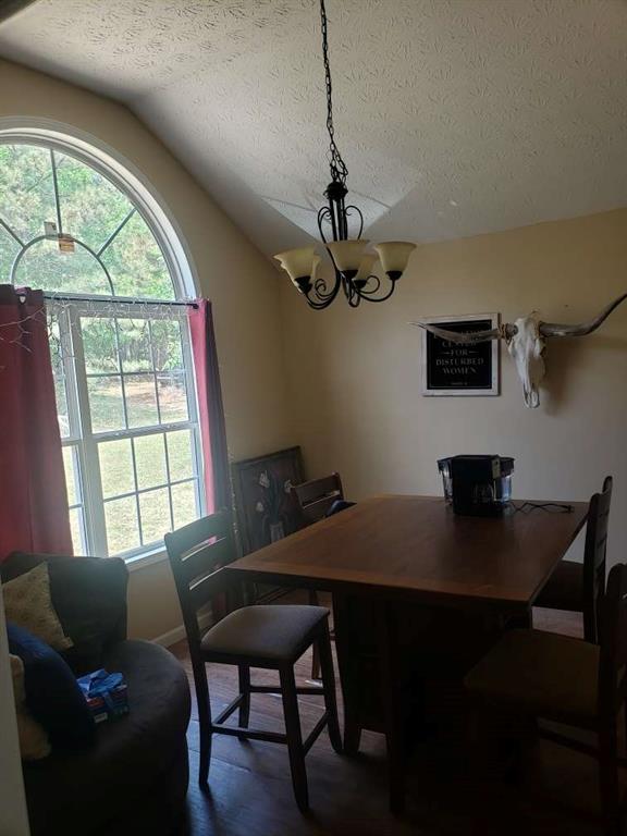 1383 Sims Rd, Winder, GA 30680 - dining area featuring a chandelier, a textured ceiling, and vaulted ceiling
