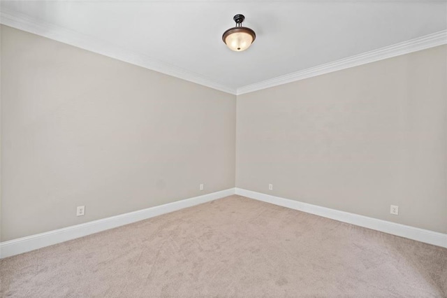 spare room featuring ornamental molding and carpet flooring