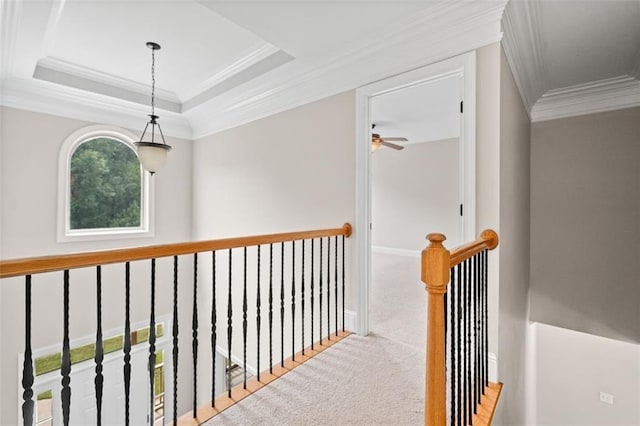 hall featuring carpet floors, a tray ceiling, and ornamental molding