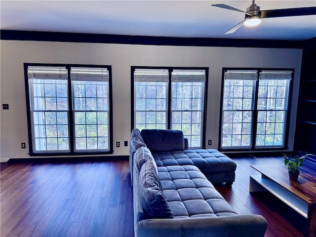 living room featuring ceiling fan and dark wood-type flooring