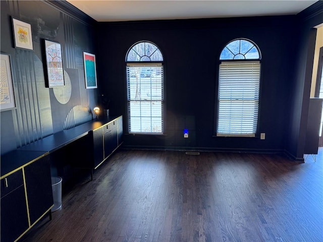 interior space featuring dark wood-type flooring and a wealth of natural light