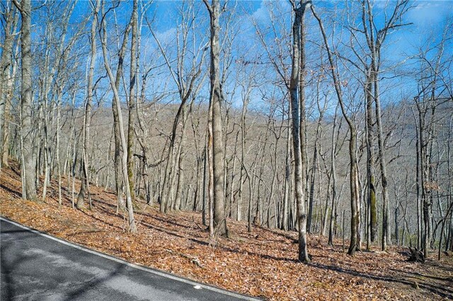 6354 Huckleberry Trl, Jasper, GA 30143 - view of woods