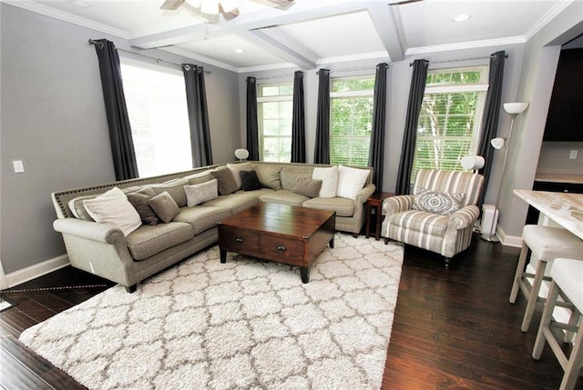116 Festoon Ct, Smyrna, GA 30080 - living room featuring coffered ceiling, wood finished floors, a ceiling fan, healthy amount of natural light, and baseboards