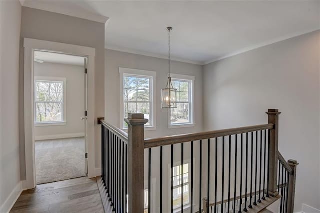 hall with an inviting chandelier, light hardwood / wood-style flooring, and ornamental molding