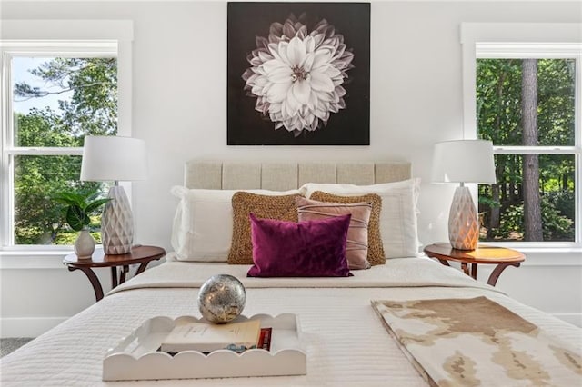 living room with a wealth of natural light