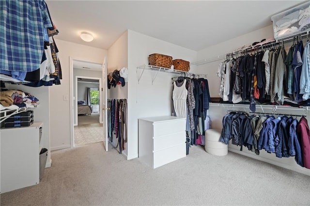 4092 Duran Ln, Auburn, GA 30011 - spacious closet with carpet