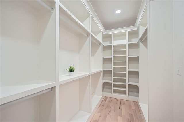 walk in closet with light wood-style flooring