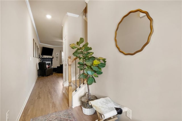 hallway featuring ornamental molding and light hardwood / wood-style floors