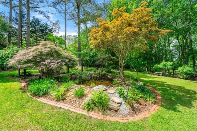 312 Crabapple Springs Way, Woodstock, GA 30188 - view of green lawn
