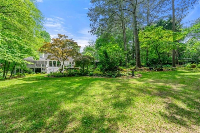 312 Crabapple Springs Way, Woodstock, GA 30188 - view of grassy yard