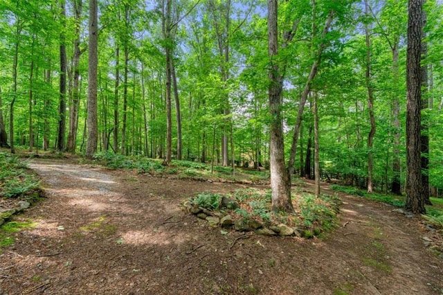 312 Crabapple Springs Way, Woodstock, GA 30188 - view of wooded area