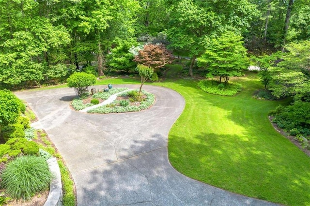 312 Crabapple Springs Way, Woodstock, GA 30188 - surrounding community with driveway and a yard