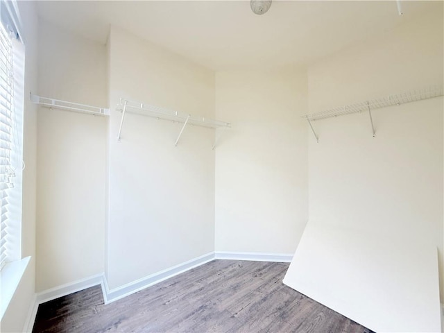 walk in closet with wood finished floors