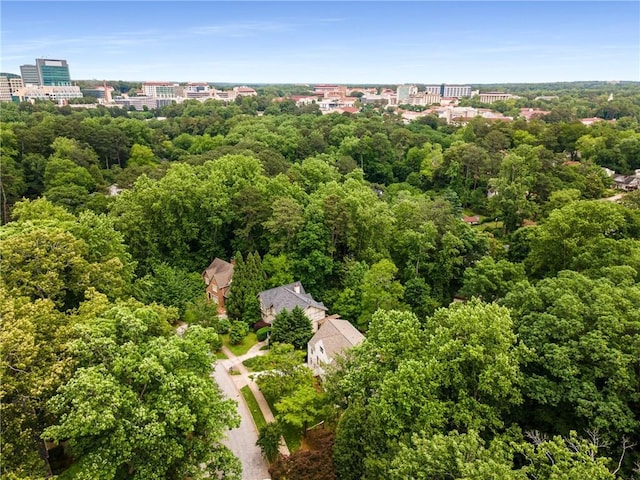 1327 Harvard Rd NE, Atlanta, GA 30306 - bird's eye view of a forest