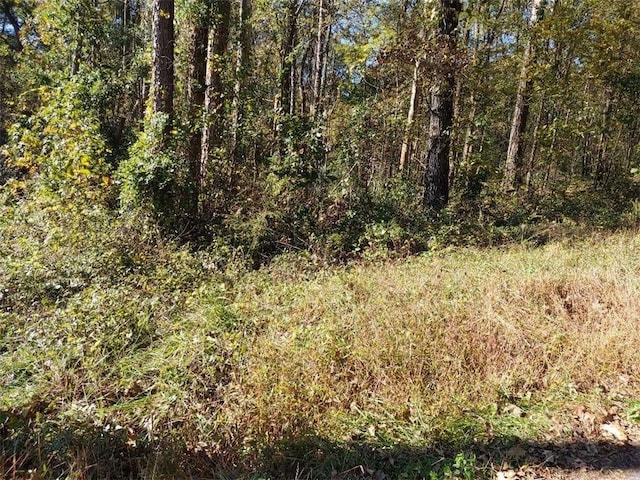 0 Wilson St, Adairsville GA, 30103 land for sale