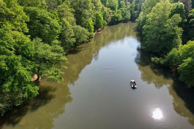 aerial view featuring a water view and a view of trees