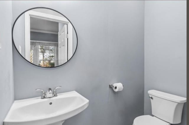 bathroom featuring sink and toilet