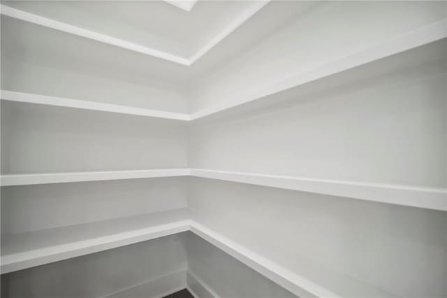 591 Brashy St, Woodstock, GA 30188 - view of storage area