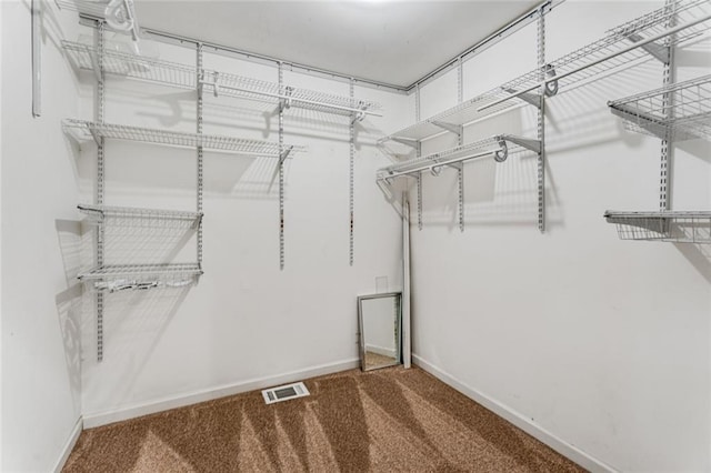 walk in closet with visible vents and carpet