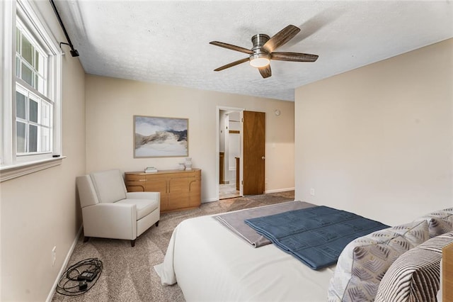 bedroom featuring ceiling fan, carpet, baseboards, and a textured ceiling