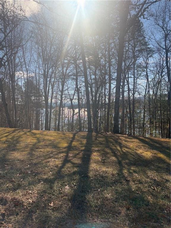 Listing photo 3 for 00 Zachary Ln, Blairsville GA 30512