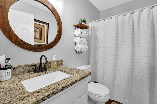 full bathroom with toilet, a shower with curtain, and vanity