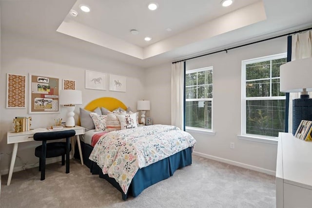 bedroom featuring carpet and a tray ceiling