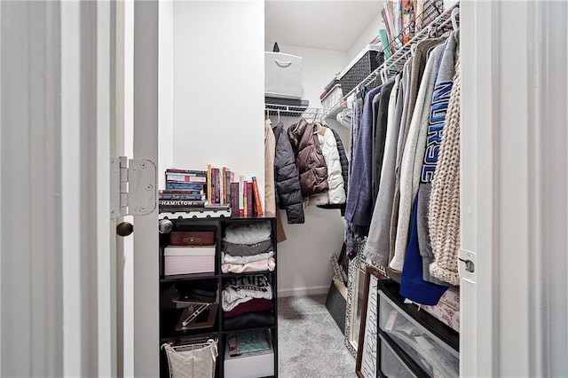 119 Ashley Way, Jefferson, GA 30549 - spacious closet featuring carpet flooring