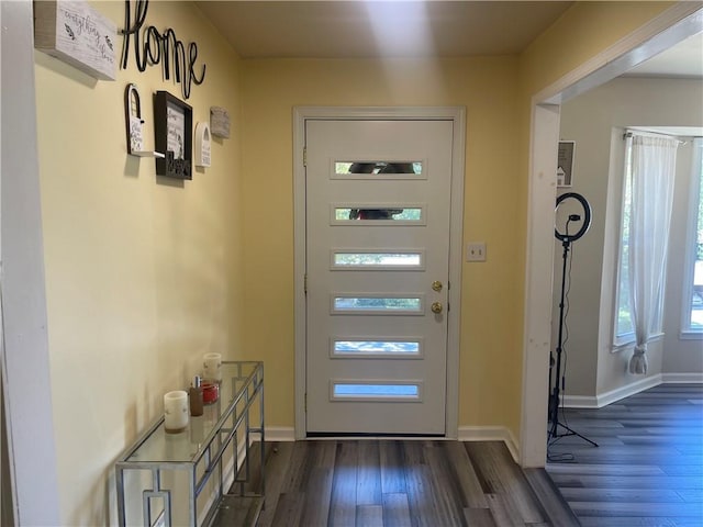 doorway to outside featuring dark hardwood / wood-style flooring