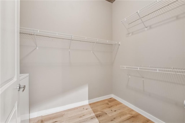 walk in closet with wood finished floors