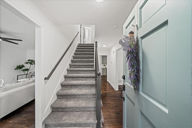 stairway featuring ceiling fan, crown molding, and wood-type flooring