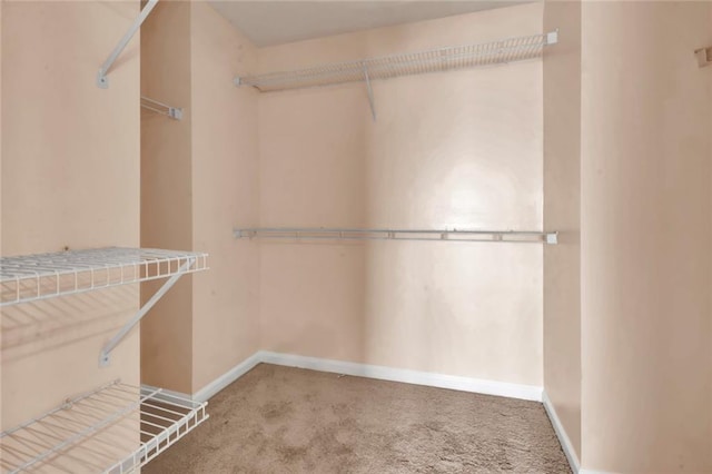 walk in closet with carpet