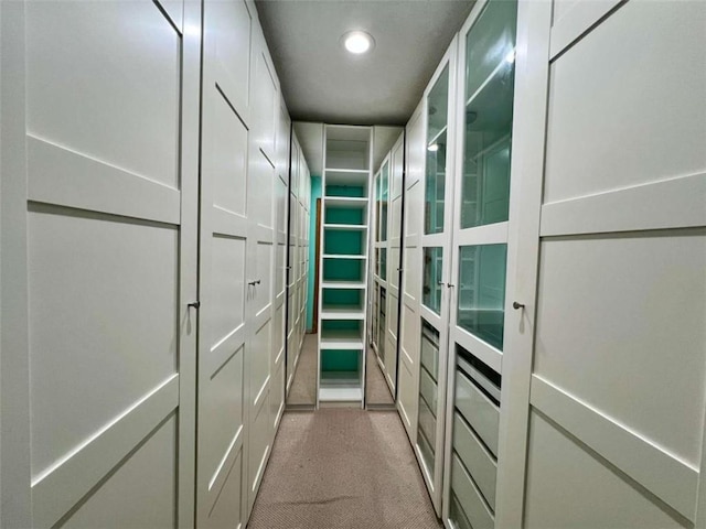 spacious closet featuring light carpet