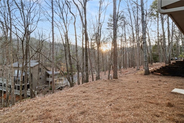 view of yard at dusk