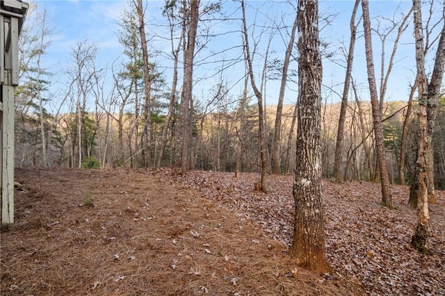 view of local wilderness