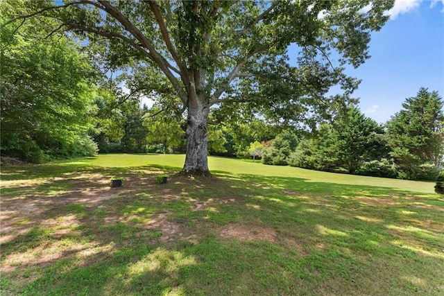 27 Kendall Creek Dr, Jefferson, GA 30549 - view of grassy yard