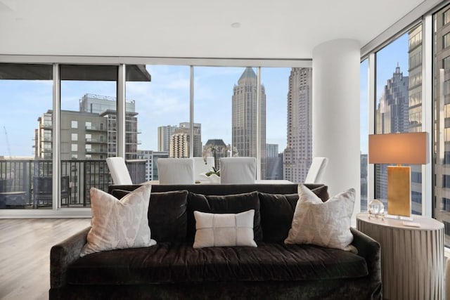 living room featuring expansive windows, a view of city, and wood finished floors