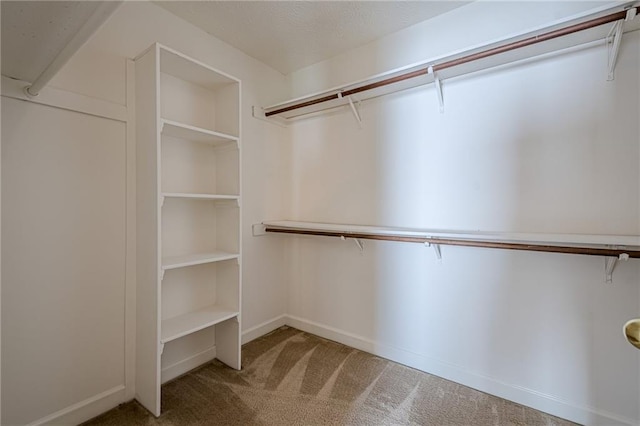 2794 Craig Ct, Marietta, GA 30062 - spacious closet with carpet flooring