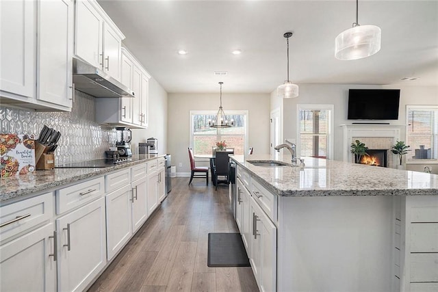 2320 Ridge View Dr, Loganville, GA 30052 - kitchen with under cabinet range hood, light wood-style floors, a tile fireplace, decorative backsplash, and a sink