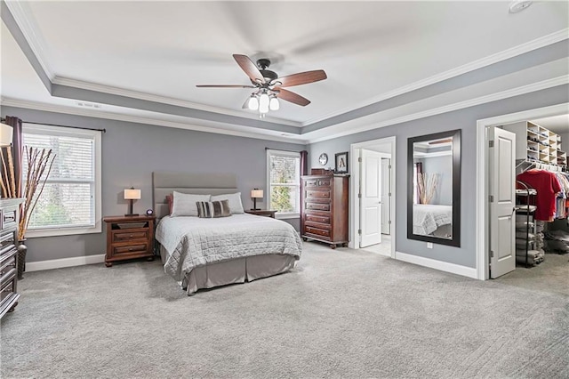 carpeted bedroom with a walk in closet, a raised ceiling, multiple windows, and baseboards