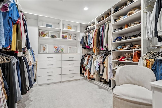 spacious closet with carpet flooring