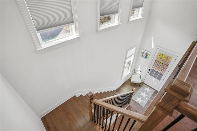 staircase featuring wood finished floors